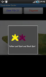 Dendrobium Doctor(ENG) poster 2