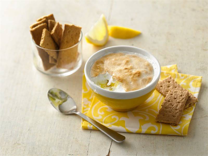 10 Best Marshmallow Yogurt Dessert Recipes