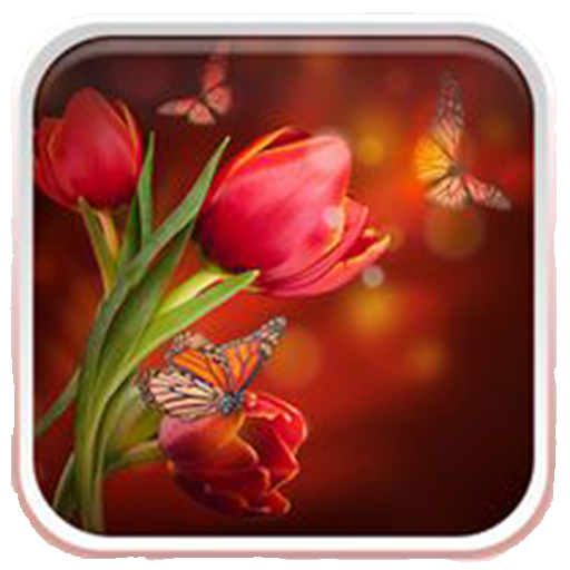 Tulips Live Wallpaper LOGO-APP點子