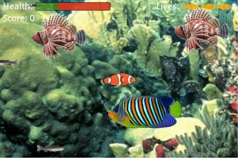 download Food Chain free