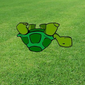 Upside Down Turtle  Icon