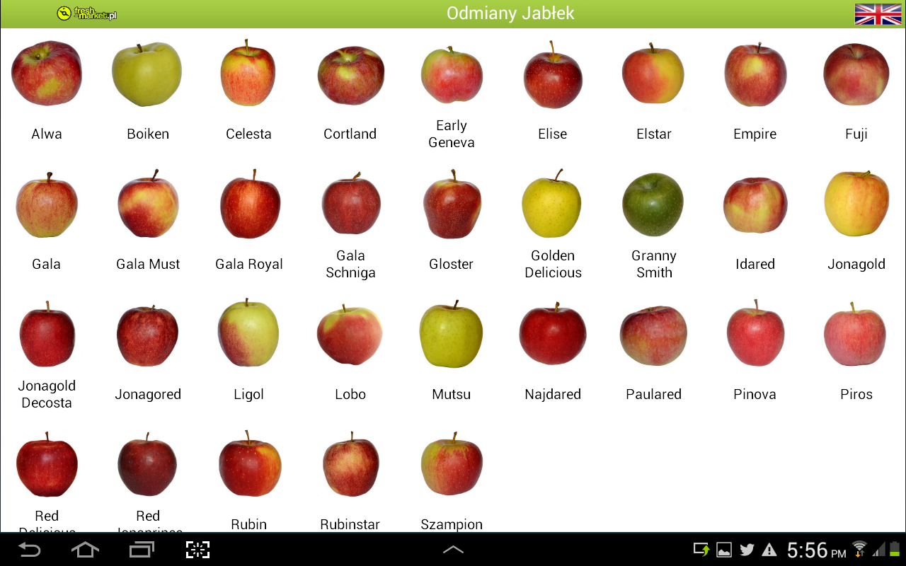 Apple Varieties Pictures Varieties of apples- screenshot