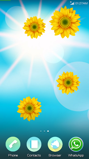 【免費個人化App】Summer Sunflower LWP-APP點子