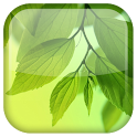 Galaxy S4 Leaf Live Wallpaper logo