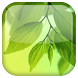 Galaxy S4 Leaf Live Wallpaper icon
