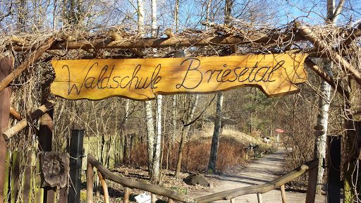 Waldschule Briesetal