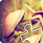 Cover Image of 下载 Nature Puzzle 1.1 APK