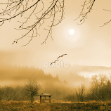 Foggy lake and three couples of birds by William Lee -  