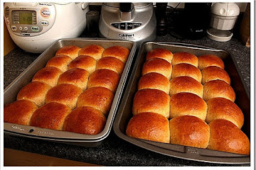 Soft pull-apart wheat rolls, with sourdough starter or active dry yeast
