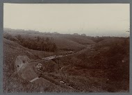 Weg met bocht en brug