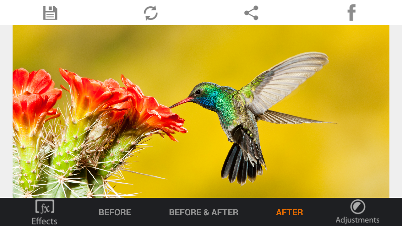 HDR FX Photo Editor Pro - screenshot