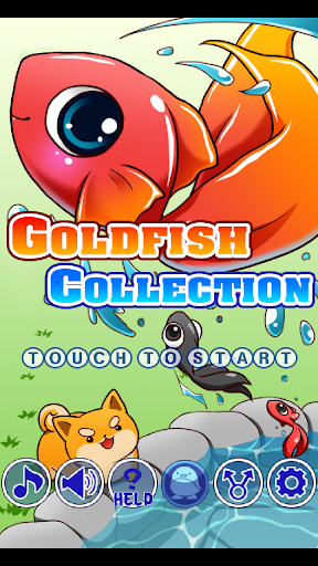 Goldfish Collection