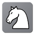 Chess Tactic Puzzles1.3.9.0