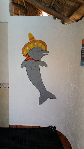 Mexican Dolphine Mural