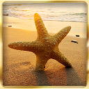 Ocean Beach : Hidden Object mobile app icon