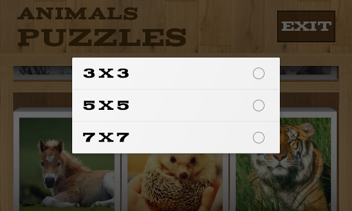 免費下載解謎APP|Animals Puzzles app開箱文|APP開箱王