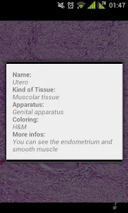 免費下載醫療APP|Histo Book - Histology Full app開箱文|APP開箱王
