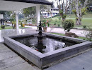 Fountain and Fish Pond