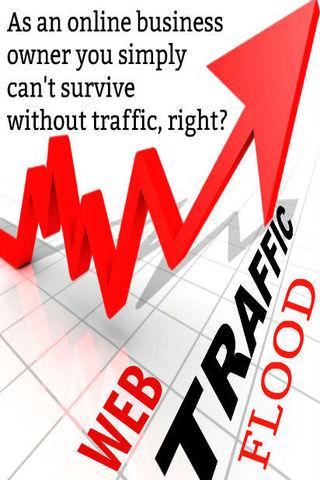 Web Traffic Flood