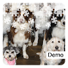 Family Pet Jigsaw Puzzles Demo
