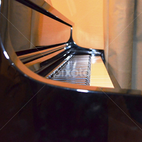 Piano Man 2 by Dee Schindler VanBilliard - Artistic Objects Other Objects