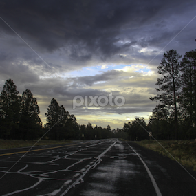 West We Go by Steven Acquard - Landscapes Forests