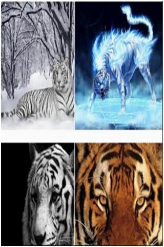 Animals Wallpaper