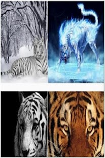 Free Download Animals Wallpaper APK