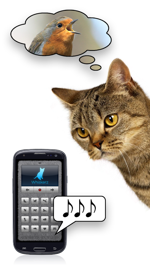 Human-to-Cat Translator Deluxe - screenshot