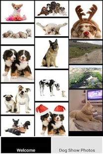 Free Dog Screensaver APK for Android