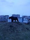 Медведь в Дубовом