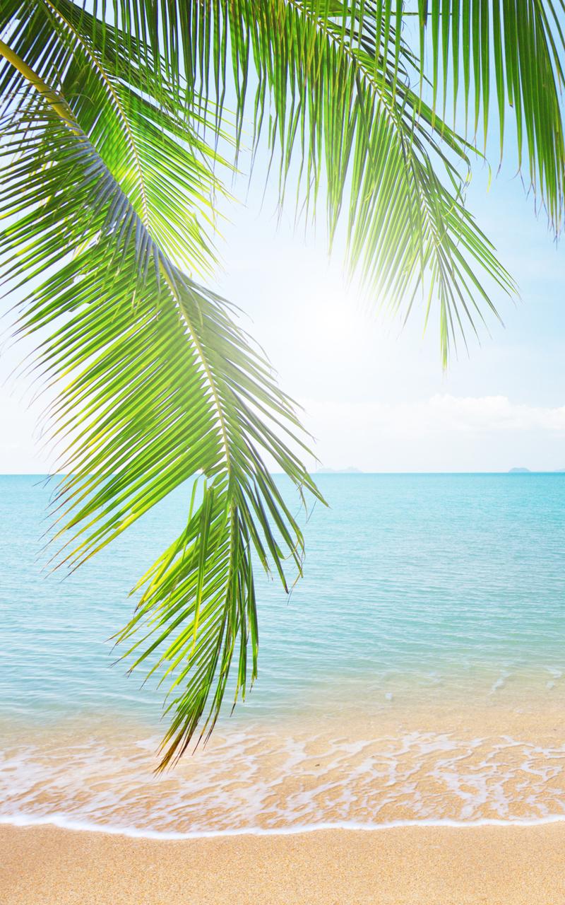 Tropical Beach Live Wallpaper Screen 3