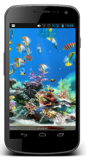 【免費個人化App】Koi fish live wallpaper-APP點子