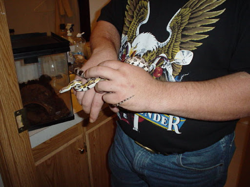 DSC00056.JPG