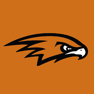 Ultrasonic Hawks.apk 1.3