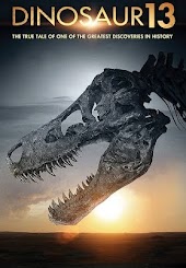 Dinosaur 13
