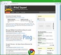 google-chrome-green-300x257