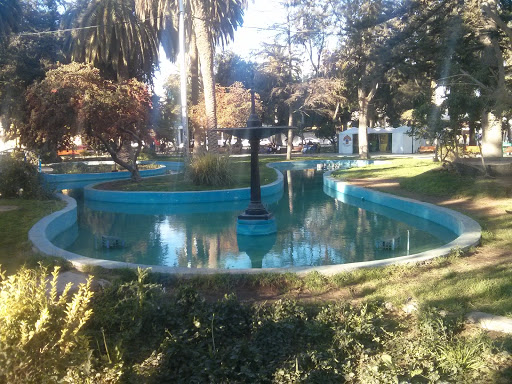 Fuente Plaza De Ovalle