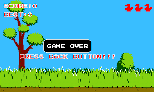 download Duck Hunter free