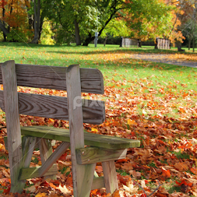 Park Bench by Marsha Biller - Artistic Objects Furniture