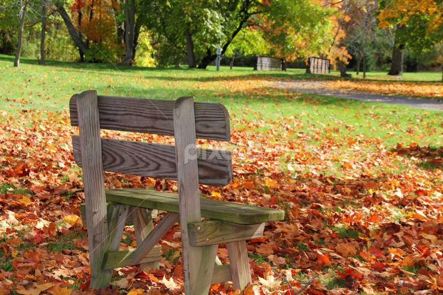 Park Bench by Marsha Biller - Artistic Objects Furniture