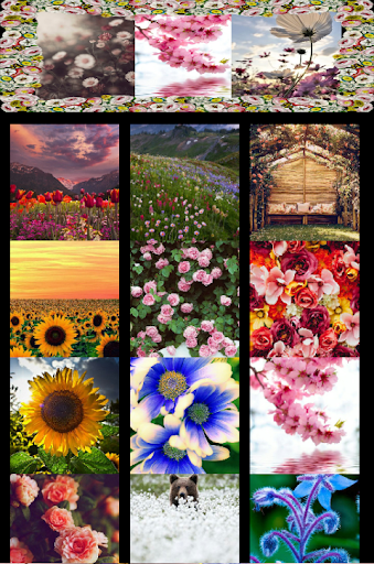 Fantastic Flower Wallpaper HD