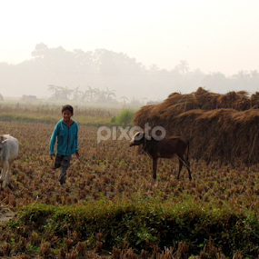 by Sanjay Dhar - Babies & Children Children Candids
