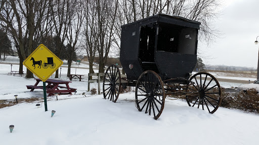 Amish oven buggy