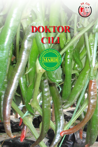 MARDI DoktorCili