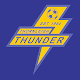 Thornleigh Thunder FC APK