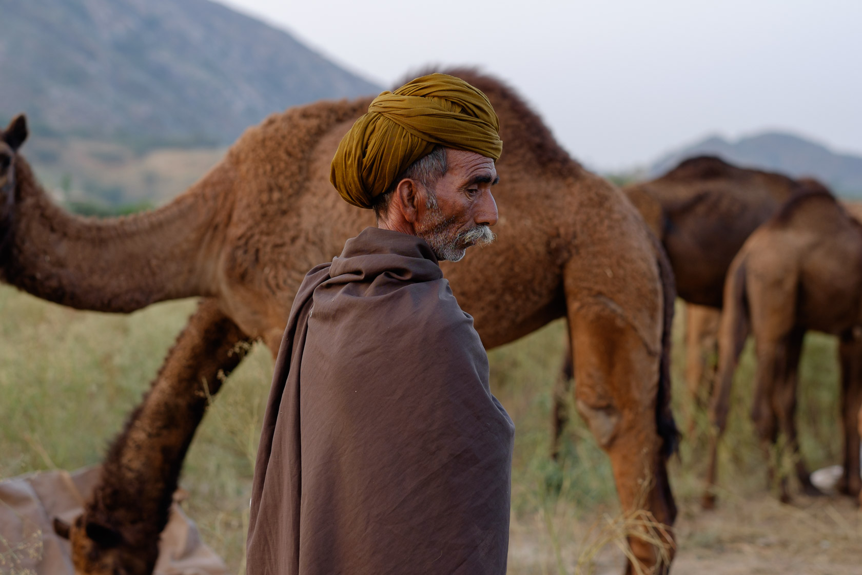 Camel Trader, Pushkar, India