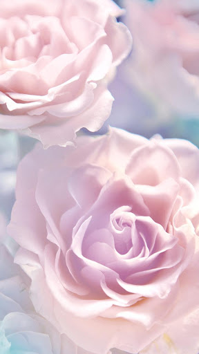 免費下載個人化APP|Rose Live Wallpaper app開箱文|APP開箱王