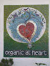 Organic At Heart
