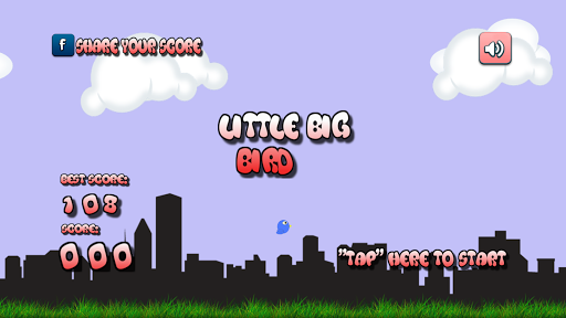 Little Big Bird